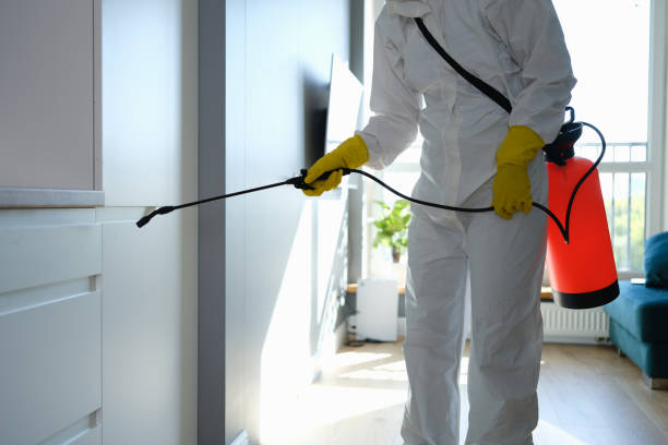 Best Emergency Mold Removal  in Harrison, TN